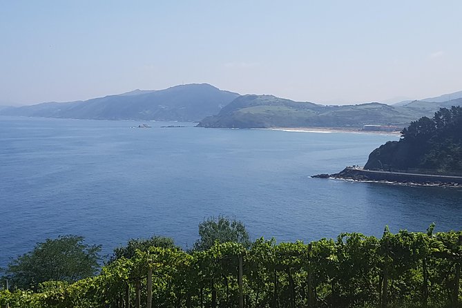 Txakoli Winery Tour Through the Coast From San Sebastian - Authentic Reviews of the Txakoli Tour