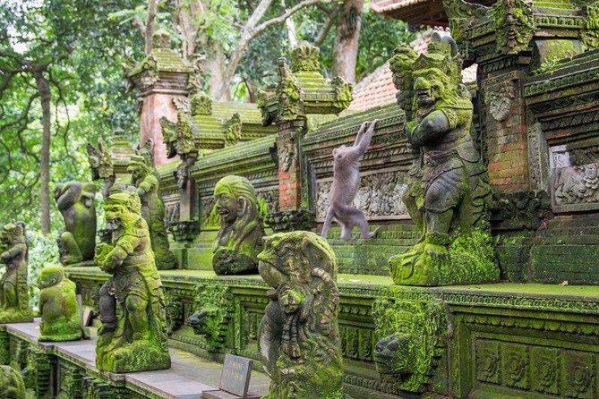 Ubud Adventures - Cancellation Policy Explained