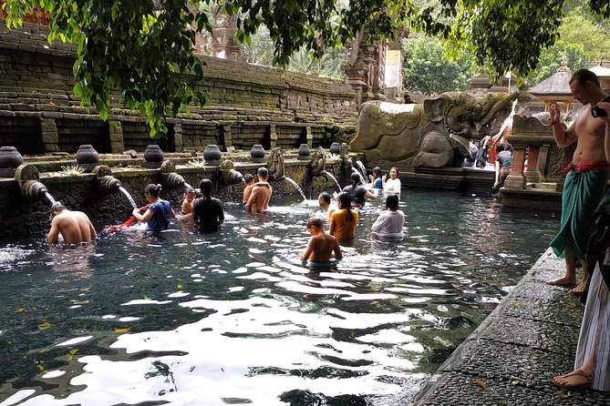 Ubud, Kintamani Volcanos Bali Tour - Pricing Information