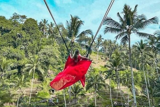 Ubud Tour With All Includes - Additional Activities and Fees