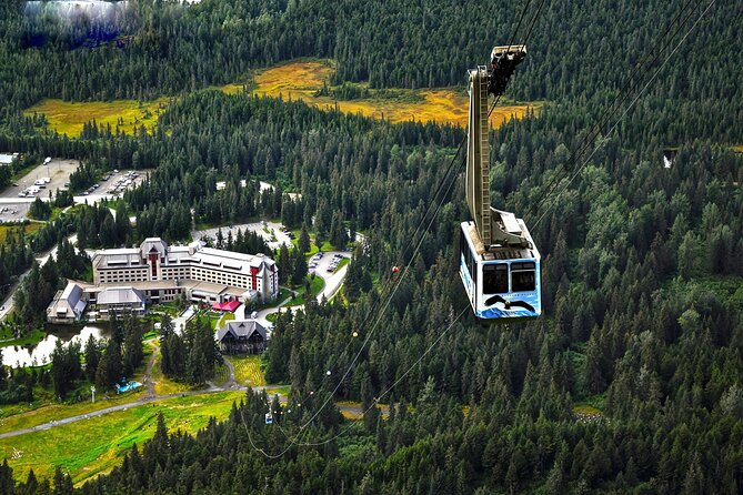 Ultimate Anchorage and Turnagain Arm Private Full Day Tour - Transportation and Accessibility Details