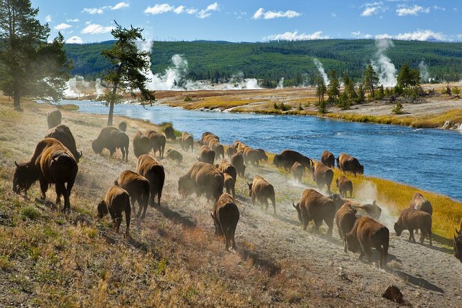 Ultimate Audio Tours: Yellowstone, Glacier, Grand Teton & Banff - Exploring Yellowstone