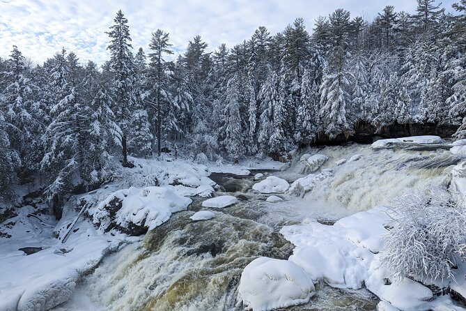 Ultimate Dog Sledding Tour - Day Trip From Ottawa & Gatineau - Reviews and Experiences