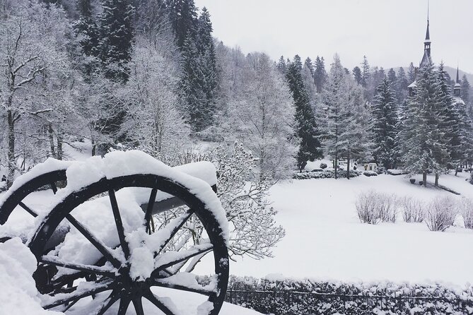 Uncover Transylvania: Private Tour Review - Accommodations and Dining