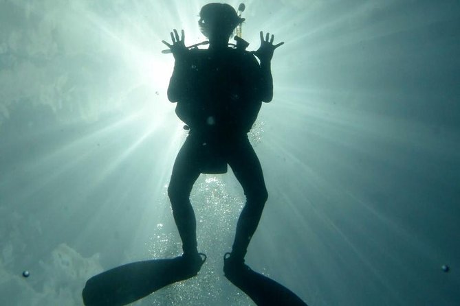Underwater Scooter Dive (Certified Divers Only) Makena Wailea - Safety Guidelines