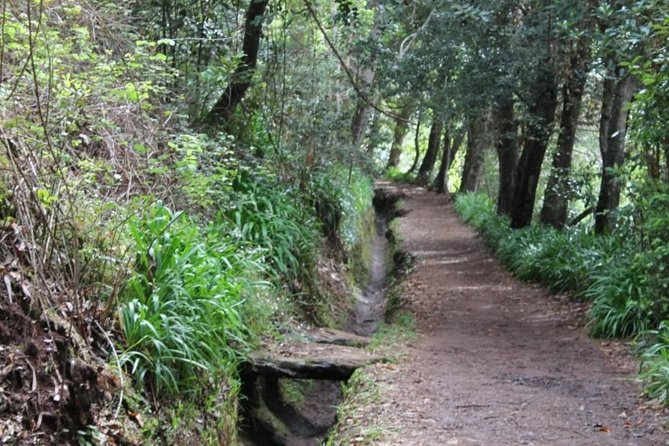 Vale Paradiso - Rock (Half Day Walk) - Reviews and Ratings