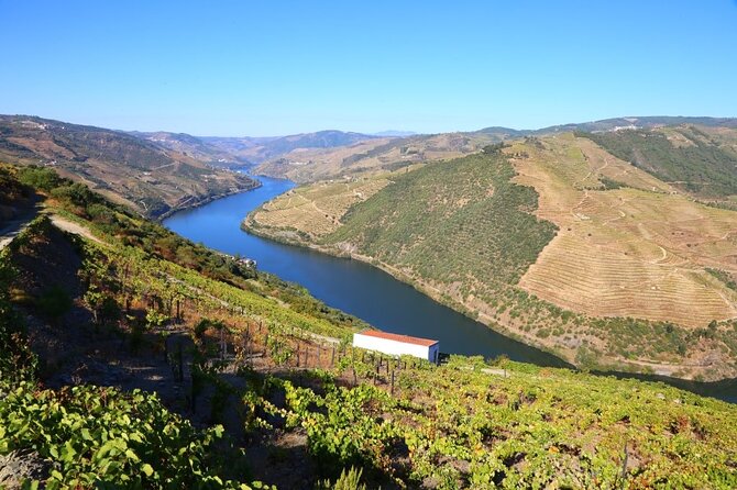 Valença Do Douro Walking Tour - Exploring Douro Valley