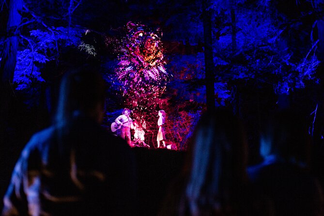 Vallea Lumina Multimedia Experience - Highlights of the Experience