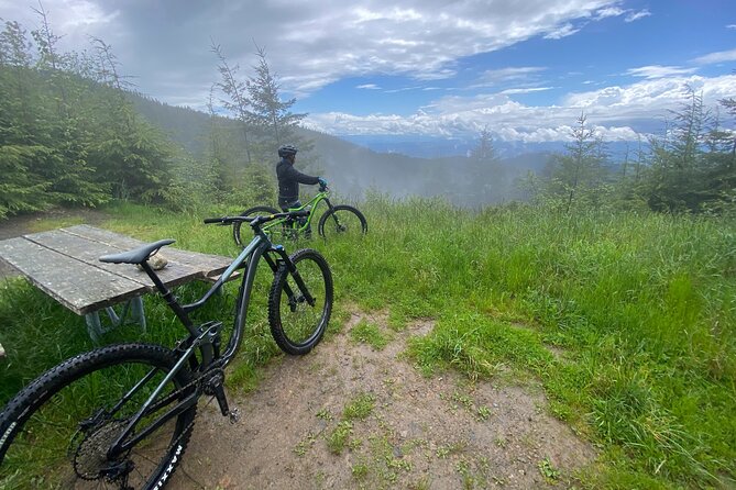 Viator Exclusive - Half Day Mountain Bike Tour From Seattle - Pricing and Cancellation