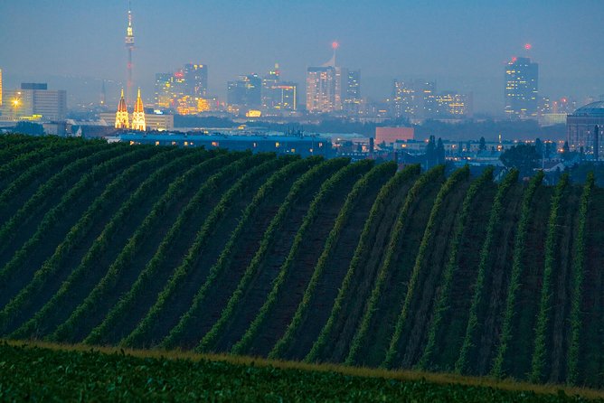 Vienna Vineyard and Danube River on Electric Bikes - Scenic Ride Along the Danube