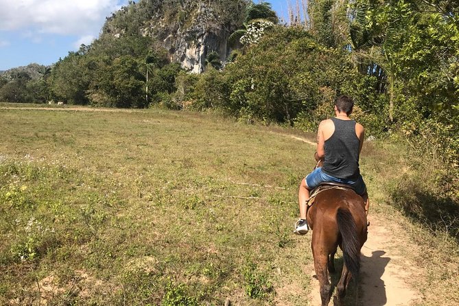 Viñales Horse Tour - Booking Confirmation