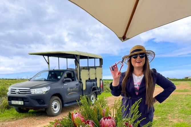 Vineyard Safari and Wine Tasting in Hermanus With Guide - Accessibility Features