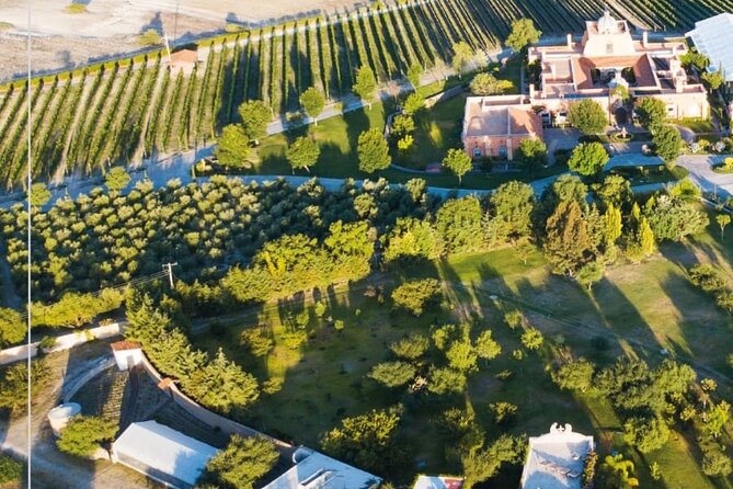Vineyard, Tour, Tasting and Fun in San Miguel De Allende - Booking Flexibility