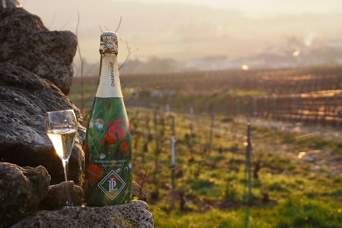 Vineyard Walking Tour & 2 Champagnes Tasting - Additional Services