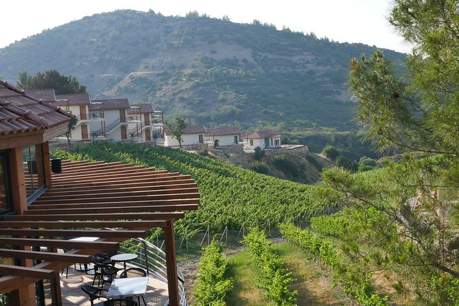 Vineyard & Wine Tasting Tour - Meeting and Pickup Details