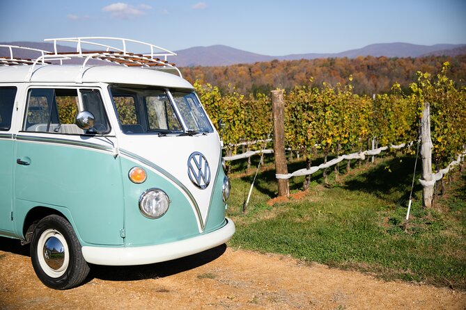 Vintage VW Private Wine Tour in Virginias Countryside - Vintage Volkswagen Experience