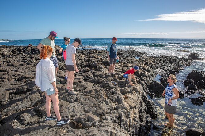 VIP Aloha Style Private Island Tour - Traveler Experience