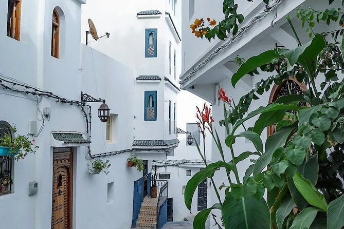 Vip Full Day Private Tangier Tour From Malaga All Inclusive - Cultural Experiences and Activities