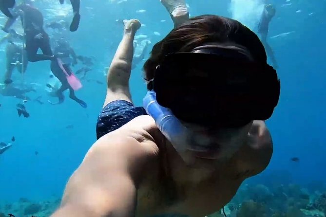 VIP Private Glass Bottom Boat and Snorkeling, 3 Reefs in Cozumel - Meeting and Departure Details