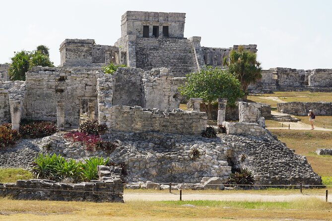 VIP Tulum & Turtles Private Tour - Traveler Reviews