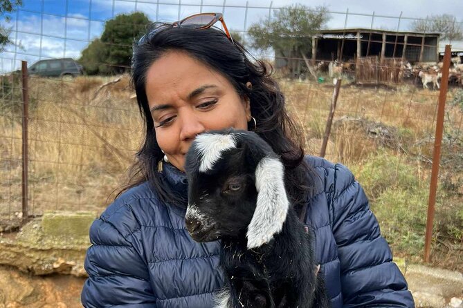 Visit a Goat Farm in a Village - Anticipated Experiences