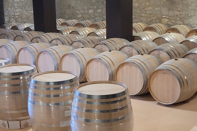 Visit Marques De Riscal & Picnic in Vineyard From Bilbao - Renowned Wine Region