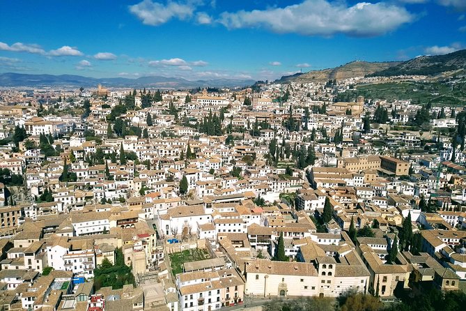 Visit the Alhambra and the Generalife. Private Tour - Customer Reviews
