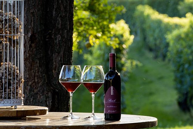Visit to the Germano Winery With Lunch and Wine Tasting - Culinary Offerings
