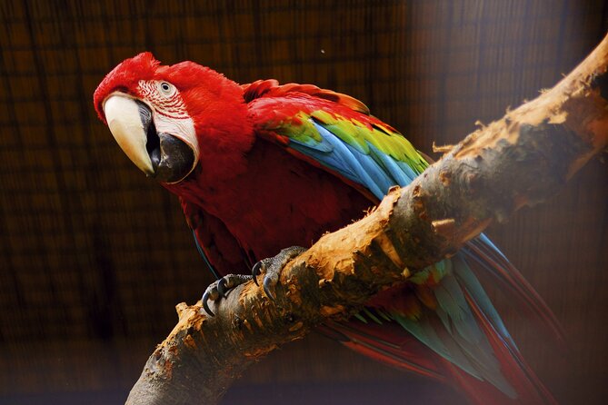 Vltava River Boat Trip and Zoo Entrance Ticket in Prague - Additional Information