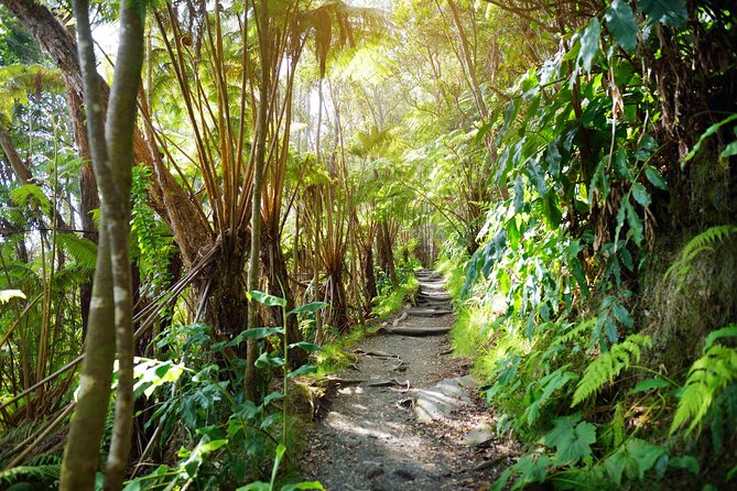 Volcanoes National Park Guided Hike- Small Group Hike - Booking and Cancellation Policy