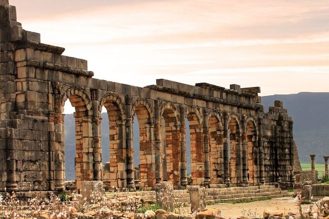 Volubilis, Moulay Idriss and Meknes Day Trip From Fes - Discovering Meknes