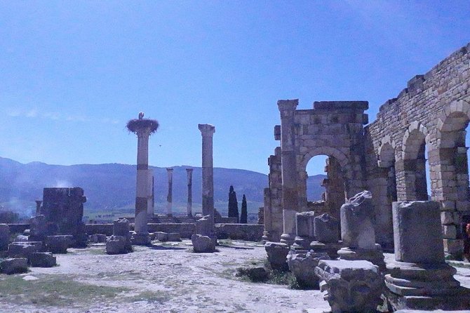 Volubilis, Moulay Idriss, and Meknes Tour - Accessibility Considerations