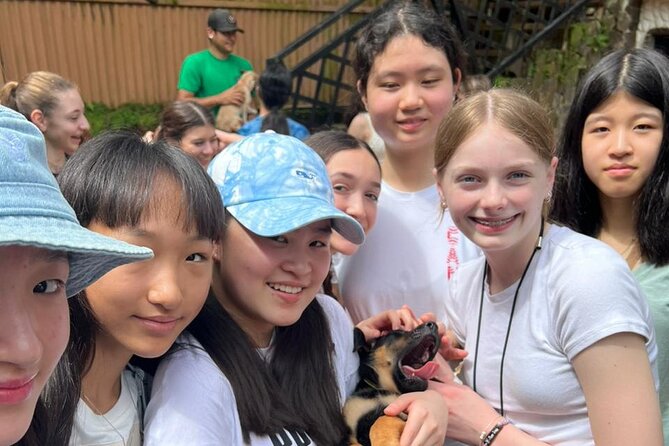 Volunteer at CR Dog Rescue - Booking and Pricing