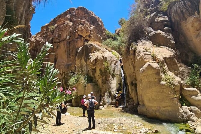 Wadi Hora and Wadi Bin Hammad Canyoning Adventure - Participant Experiences