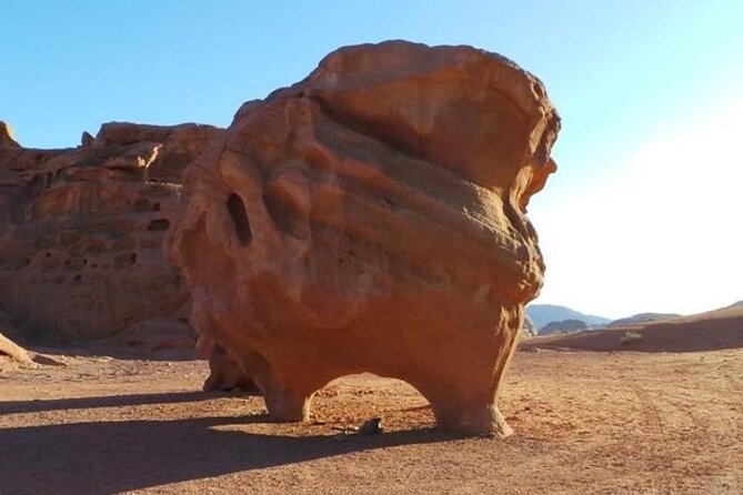 Wadi Rum Full-Day Private Tour From Amman or Airport - Pricing and Cancellation Policy