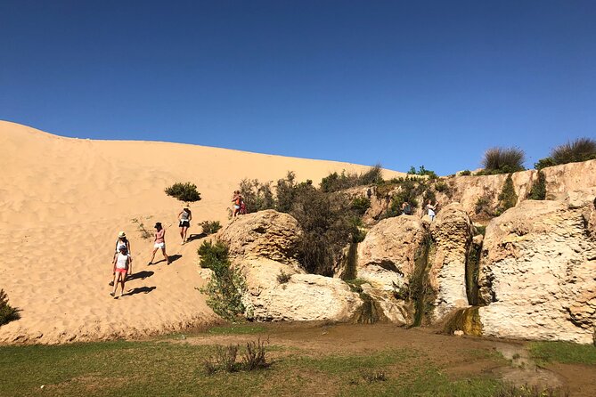Walk to the Cascade and Marabout of Sidi Mbark & for a Tea to Kaouki - Booking Information