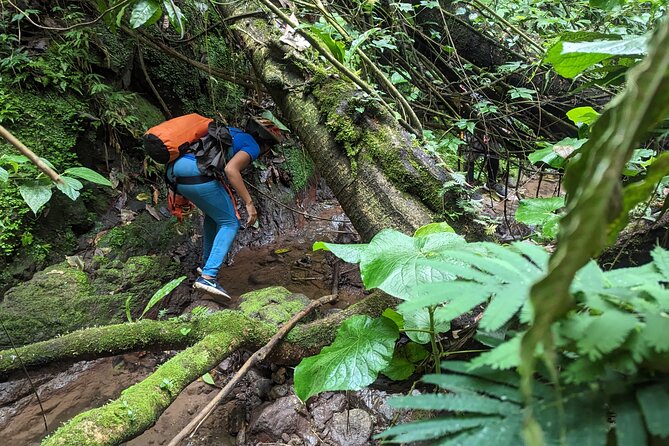 Water Falls Rappelling Activity in Dominican Republic - Participant Testimonials