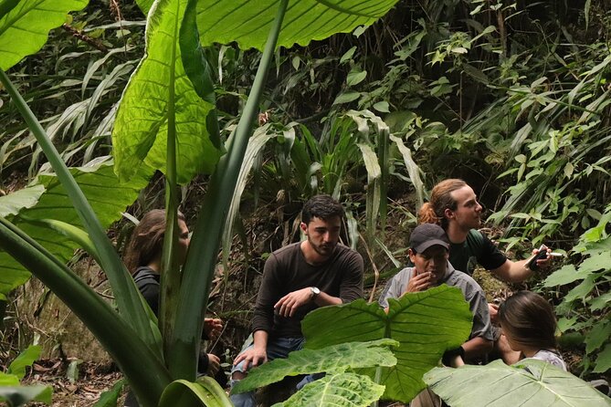Waterfall Hike - Booking and Cancellation Policy