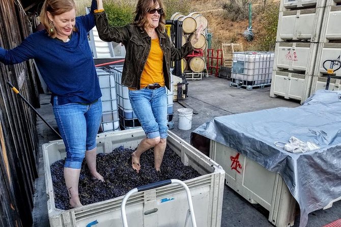 Waterfalls & Wine Tour-Multnomah Falls,Vineyards,Hood River Combo - Exploring Hood River Opportunities