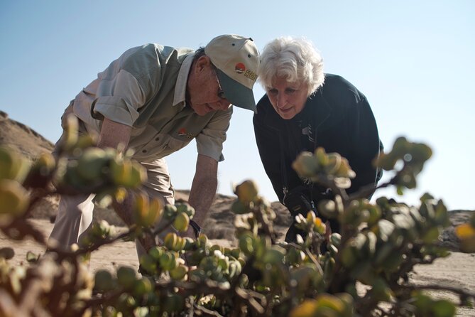 Welwitschia Tour From Swakopmund - Transportation and Logistics