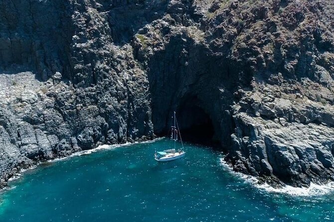 Whale and Dolphin Watching Cruise With Snacks & Open Bar - Dining and Refreshments