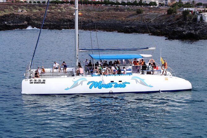 Whale & Dolphin Watching With Mustcat Virgin Coast Trip On a Large Catamaran - Reviews and Ratings