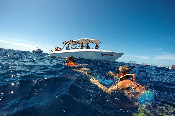 Whale Shark Snorkeling Adventure With Lunch - What to Bring