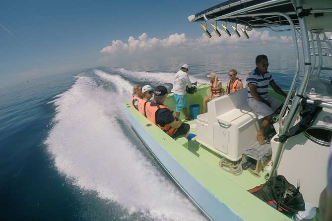Whale Shark Tour From Cancun, Playa Del Carmen, Tulum and Riviera Maya - Customer Reviews and Experiences