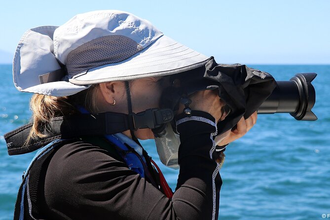 Whale Watching Adventure - Leaded by Marine Biologist. - Booking and Cancellation Policy