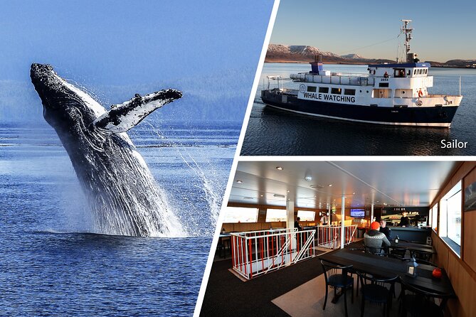 Whale Watching and Marine Life Tour in Reykjavik - Meeting and Departure