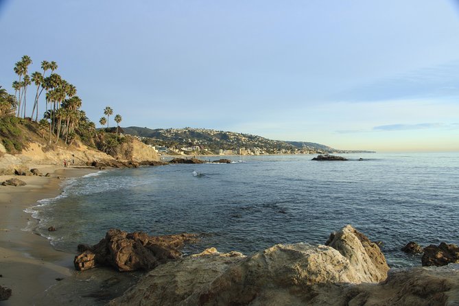 Whale-Watching and Orange County Beaches Tour From Anaheim - Tour Experience and Feedback