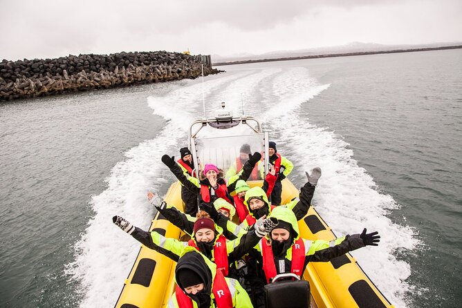 Whale Watching by RIB Speedboat From Downtown Reykjavik - Cancellations and Concerns