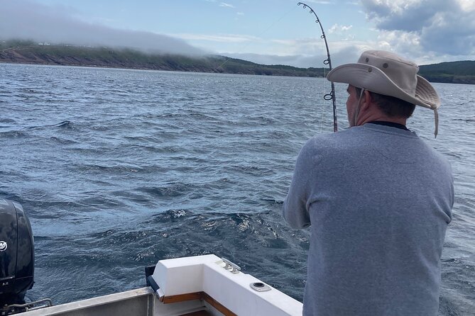 Whale Watching, Shark and Cod Fishing, From St. Johns Harbor - Booking Process