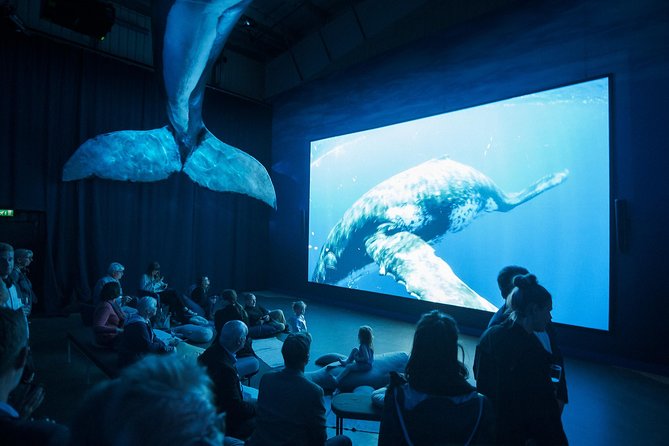 Whales of Iceland From Land and Sea - Amenities and Accessibility